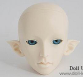 Xavor Head