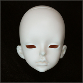 Fei Head