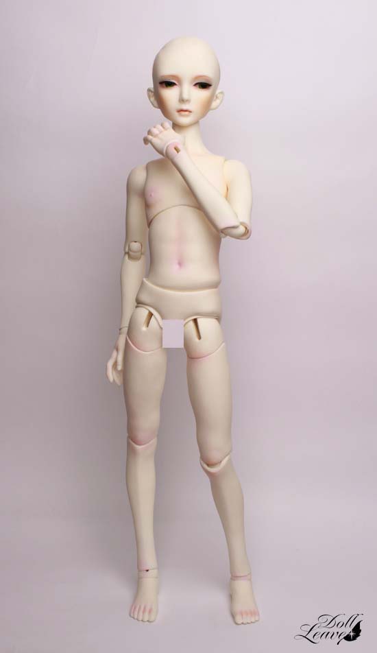 ball jointed doll male body